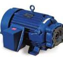 hydraulic motor